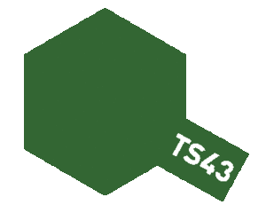 [85043] TS43 레이싱 그린
